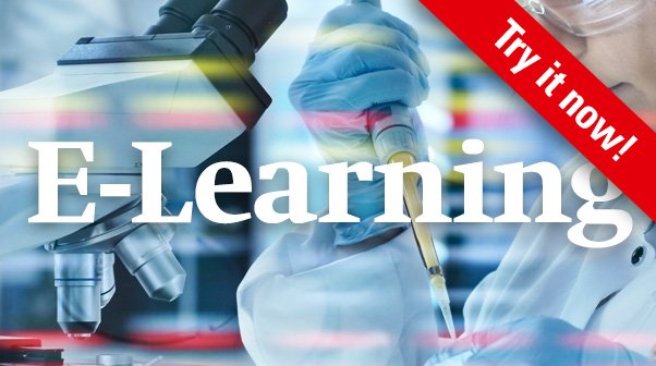 Pathway of Drug Development