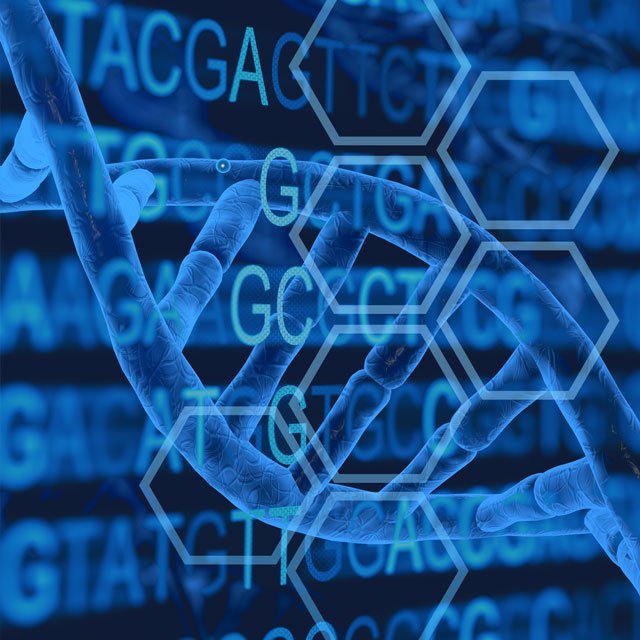 Genomics in Drug Development